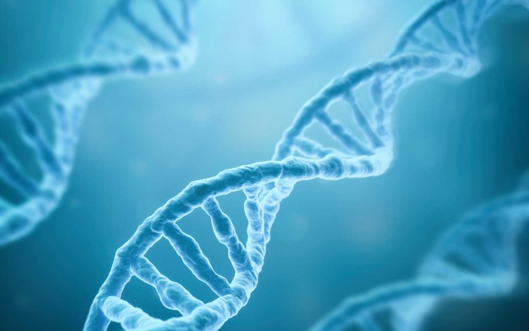 What your genes can tell you about your health.